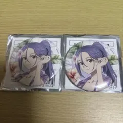 ソードアートオンライン SAO アニメガ ソフマップ 缶バッジ シノン