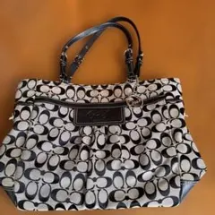 Item thumbnail for item f77aa51d-46bb-4478-8b6e-ade683510312