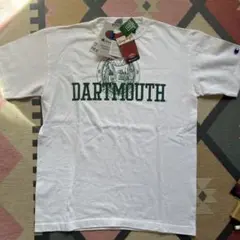 【新品タグ付】チャンピオン T1011 Tシャツ カレッジロゴ グレー Mサイズ