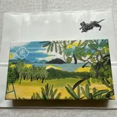 【新品未開封】とらや 虎屋 小型羊羹　オリーブレモン 5本入り 匿名配送しますのサムネイル