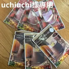 専用ページ　YOGINI FOOD 100 ストロベリー・カカオ