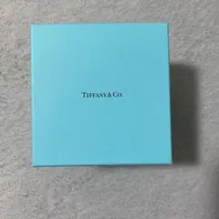 新品未使用＊Tiffany & Co. ティファニーバングルジュエリーボックス