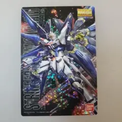 ストライクフリーダムガンダム カード BANDAIカード