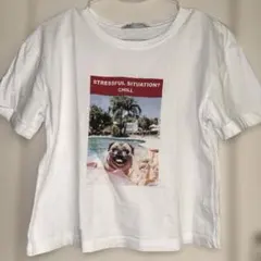 ZARA半袖プリントTシャツ