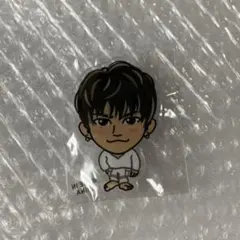 三代目JSB 登坂広臣 アクリルバッジ　SS