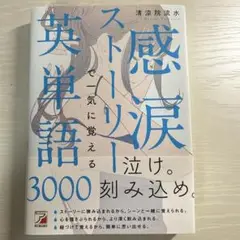 感涙ストーリーで一気に覚える英単語3000