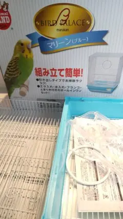 Item thumbnail for item 25a55954-1042-4424-afff-17786ce3e500