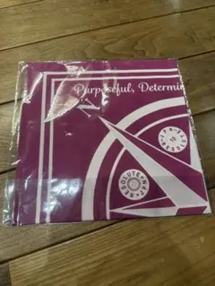 Item thumbnail for item 24ed93da-1429-459d-9d89-c27c8bf15ac3