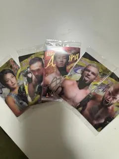 即日発送　RIZIN ウエハース　朝倉未来　カードセット　未開封