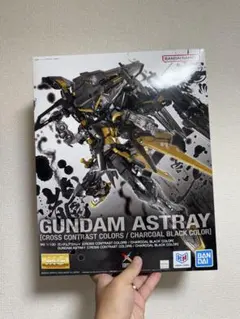 海外限定MG ガンダムアストレイ クロスコントラストカラーズ 落英白