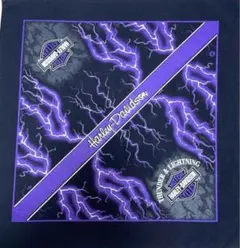 Item thumbnail for item 4183b436-6bb9-4bf1-b237-845e7d6020ff