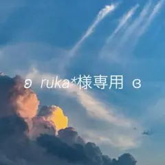 ruka*様専用ページ