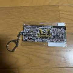 阪神タイガース　優勝記念グッズ　史上最速V キーホルダー