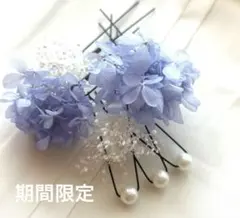 【数量限定】成人式浴衣セレモニー和装振袖七五三髪飾り