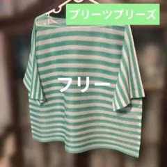プリーツプリーズ❣️ボーダー柄 メッシュプリーツ 半袖カットソー 　3のサムネイル