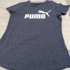 PUMA 半袖 Tシャツ グレー ロゴプリントのサムネイル