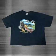 00s Harley-Davidson ハーレーダビッドソン Tシャツ イーグル