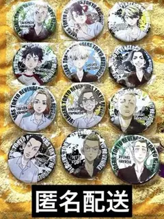 東リべ缶バッジ12個セット 武道 千冬 場地 一虎 稀咲 千堂敦 山岸 山本など