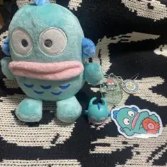 ハンギョドン4点セット