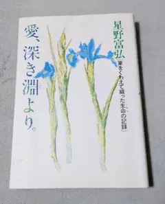 愛、深き淵より 筆をくわえて綴った生命の記録　星野富弘