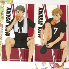 ハイキュー ！！ 稲荷崎 宮治 宮侑　アニメイトフェア特典　大判カード