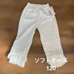 Item thumbnail for item 5ae11053-c498-4711-98be-68d0e8d7f636