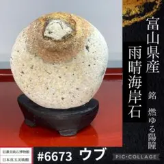 2025年最新】盆石の人気アイテム - メルカリ