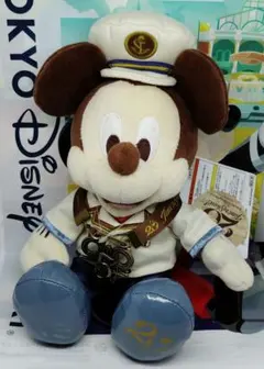 東京ディズニーシー20周年 タイムトゥシャイン ぬいぐるみ - メルカリ