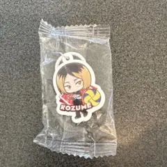 くら寿司　ハイキュー　孤爪研磨　めじるしチャーム