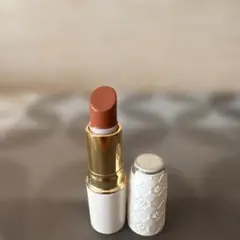 セザンヌ　ラスティング　リップカラーN 504