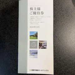 株主様ご優待券 東急不動産ホールディングス　100株　2025/12発行