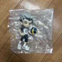 PalVerse パルバース ハイキュー!! vol.2 木兎光太郎