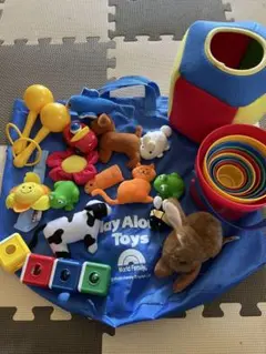 DWE Play Along! プレイアロング おもちゃ　DVD CD