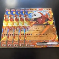 호게이터 ex RR 30th 5장