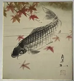 掛軸日本画 藤原茂富「鯉」共箱 - メルカリ