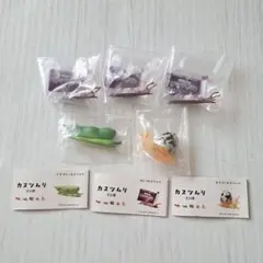 ガチャガチャ カスツムリ