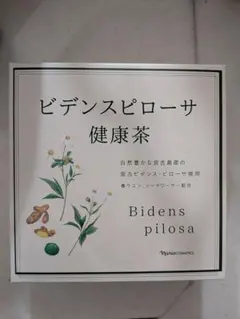 Item thumbnail for item 6ae8cb45-61fc-4fd4-95f4-d96bcd053d7b