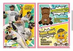 Item thumbnail for item de107072-becc-4a86-ad7c-d1c9861a992d