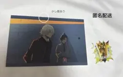 BLEACH　四楓院夜一　浦原喜助　OPポストカード