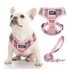 Item thumbnail for item d08d4512-01ee-4315-a05a-f3c93614eacb