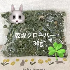 小動物ごはんおやつ乾燥クローバー30gのサムネイル
