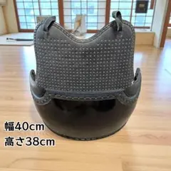 Item thumbnail for item bc181b8c-c3de-4e4d-ba0a-a3bb5af5e1f8