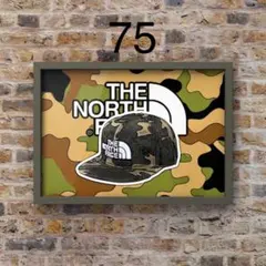 THE NORTH FACE キャップオマージュアートポスター(フレーム付き)