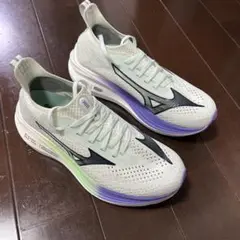 Mizuno NEOZEN 24.5cm2E