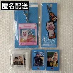 スキズ TOYWORLD ヒョニビニ ジニビニ トェッキ チャンビン まとめ売り