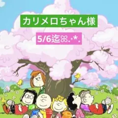 カリメロちゃん様 専用ページ