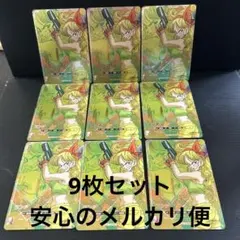 SDV5-LPUR2 ランチ9枚セット