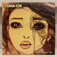 COMA-CHI NEW DAY / In The Sun レコード 7インチ