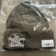 【即購入⭕️】GReeeeN gre4nboyz ニットキャップ　ミステリアス