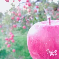 専用ページ